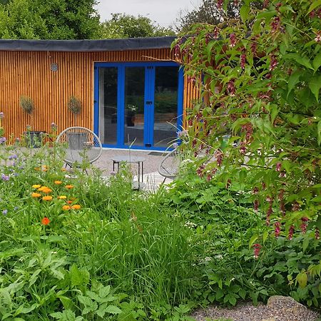 Vila The Garden Retreat Killarney Exteriér fotografie